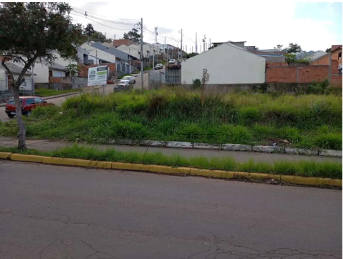 LOTE 000