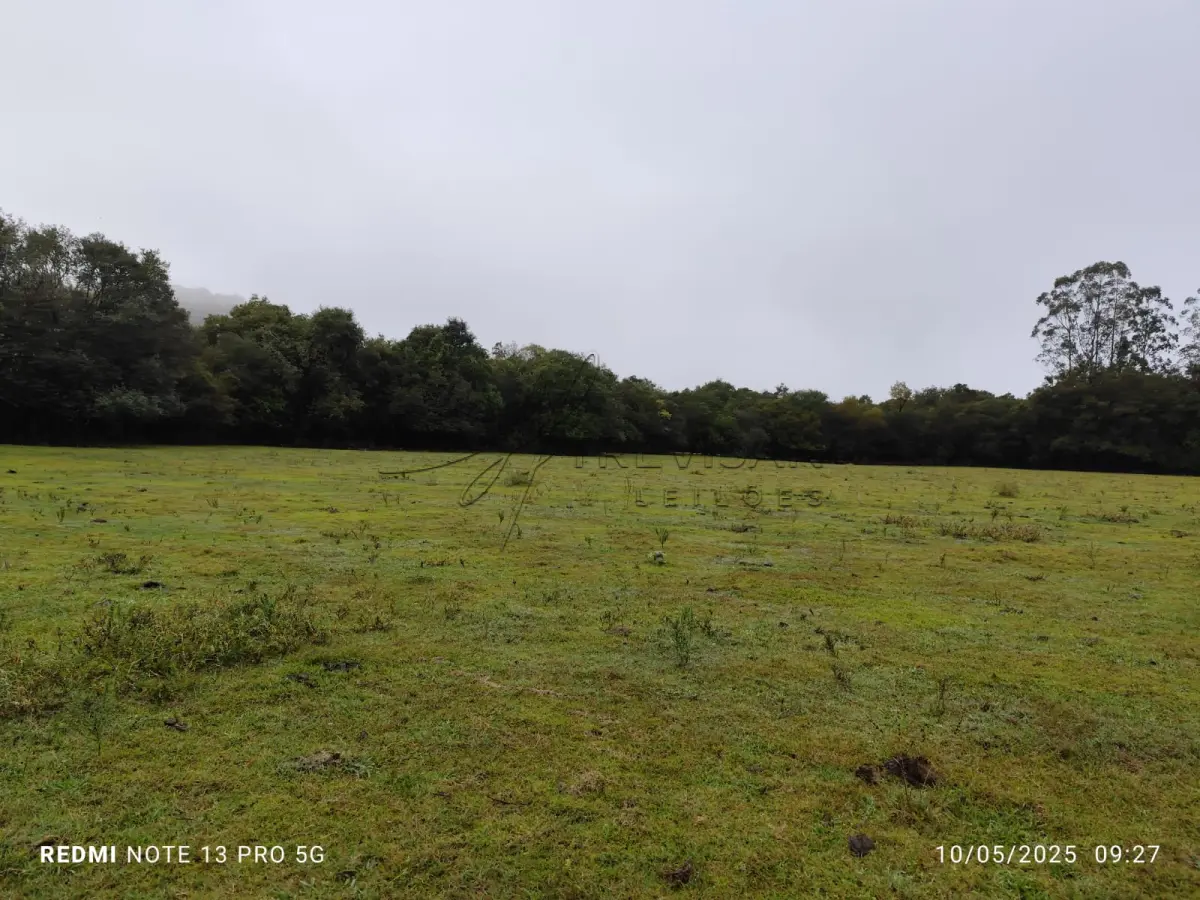 Sítio com 21 hectares, com casa de moradia, na localidade de Lima Brandão / Rio Pardo, RS.