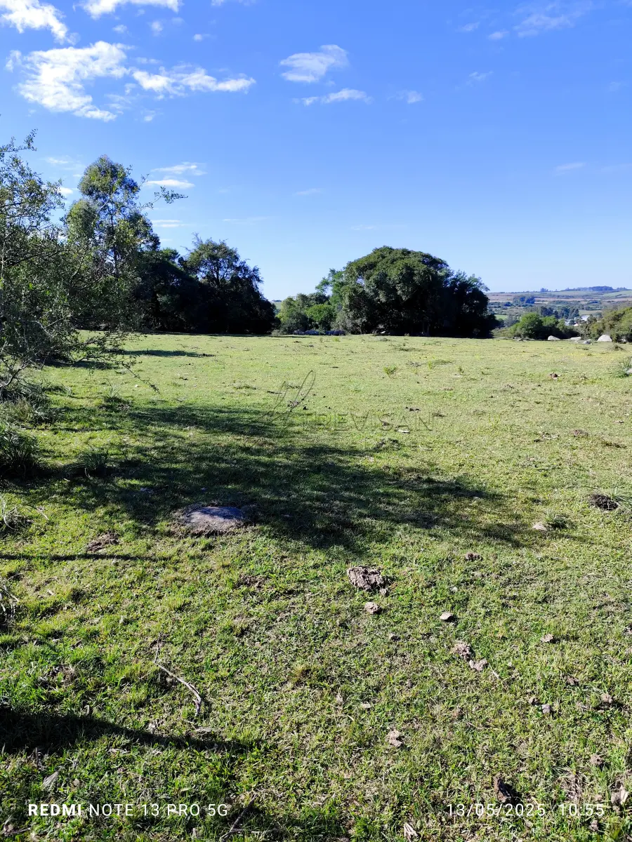 LOTE 001 - 4.2 hectares de Campos e Matos