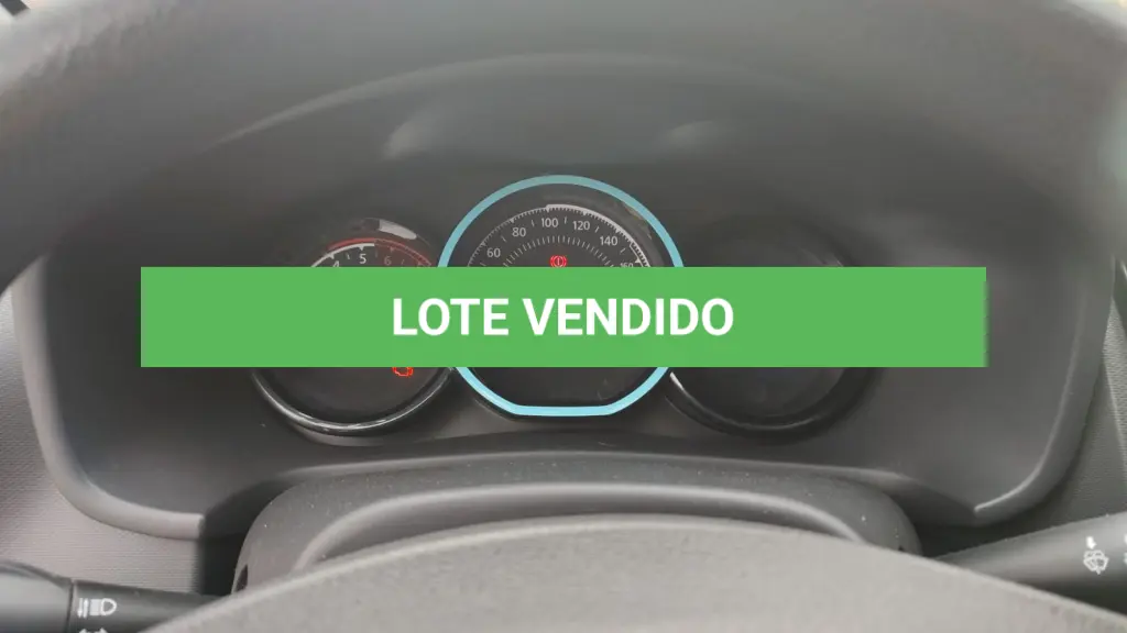 LOTE 000