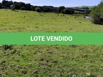 LOTE 001 - 4.2 hectares de Campos e Matos