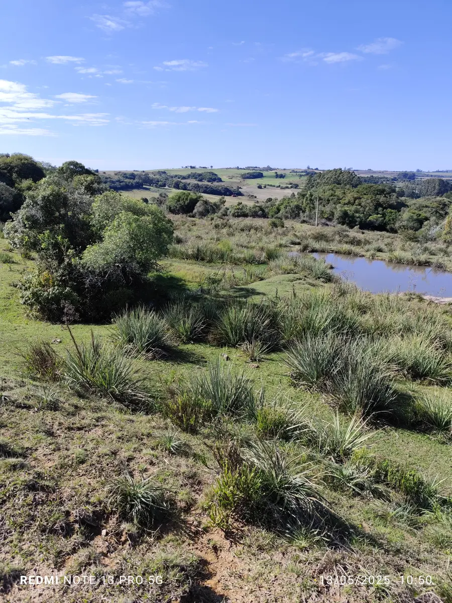 LOTE 001 - 4.2 hectares de Campos e Matos