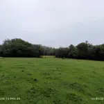 SÍTIO COM 21 HECTARES, COM CASA DE MORADIA, NA LOCALIDADE DE LIMA BRANDÃO / RIO PARDO, RS.