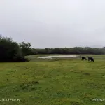 SÍTIO COM 21 HECTARES, COM CASA DE MORADIA, NA LOCALIDADE DE LIMA BRANDÃO / RIO PARDO, RS.
