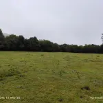 SÍTIO COM 21 HECTARES, COM CASA DE MORADIA, NA LOCALIDADE DE LIMA BRANDÃO / RIO PARDO, RS.