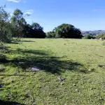 LOTE 001 - 4.2 hectares de Campos e Matos